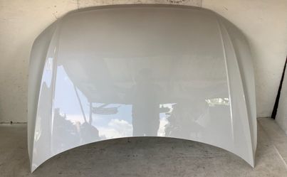 2018-2023 Volkswagen Tiguan hood (11S)