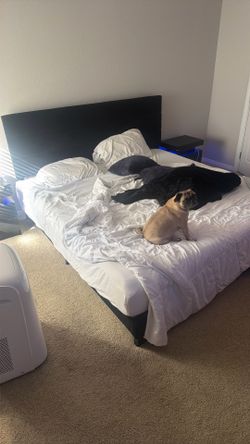 King bed frame and mattress