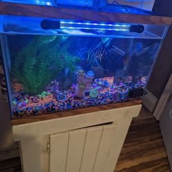 30 Gal With Everything 