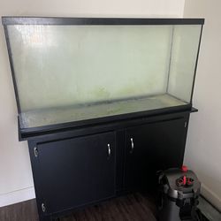 60 Gallon Aquarium, Canister Filter And Stand