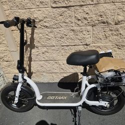 Electric Scooter 