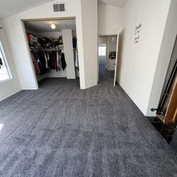 Carpet
