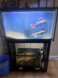 Fish tank