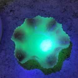 Uranium