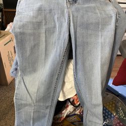 Sapphire Ink Size 1 Jeans