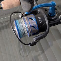 Penn Battle 4000 Limited Edition 