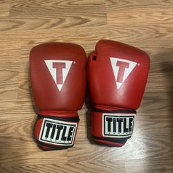 Title Boxing Pro Style Leather Training Gloves 