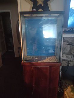 Fish tank