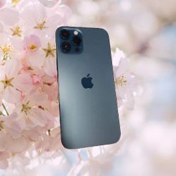iPhone 12 Pro 5G 128GB Unlocked-$549