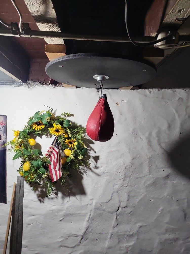 Punching Bag