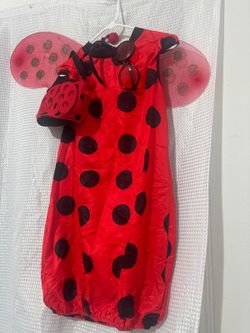 Ladybug Costume Set For Adult