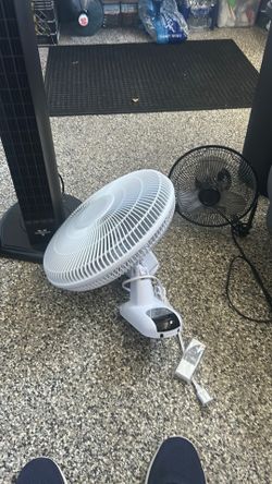Fans