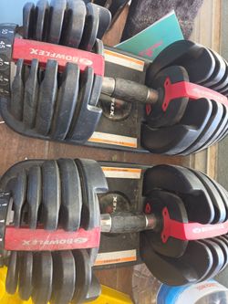 Bowflex dumbells