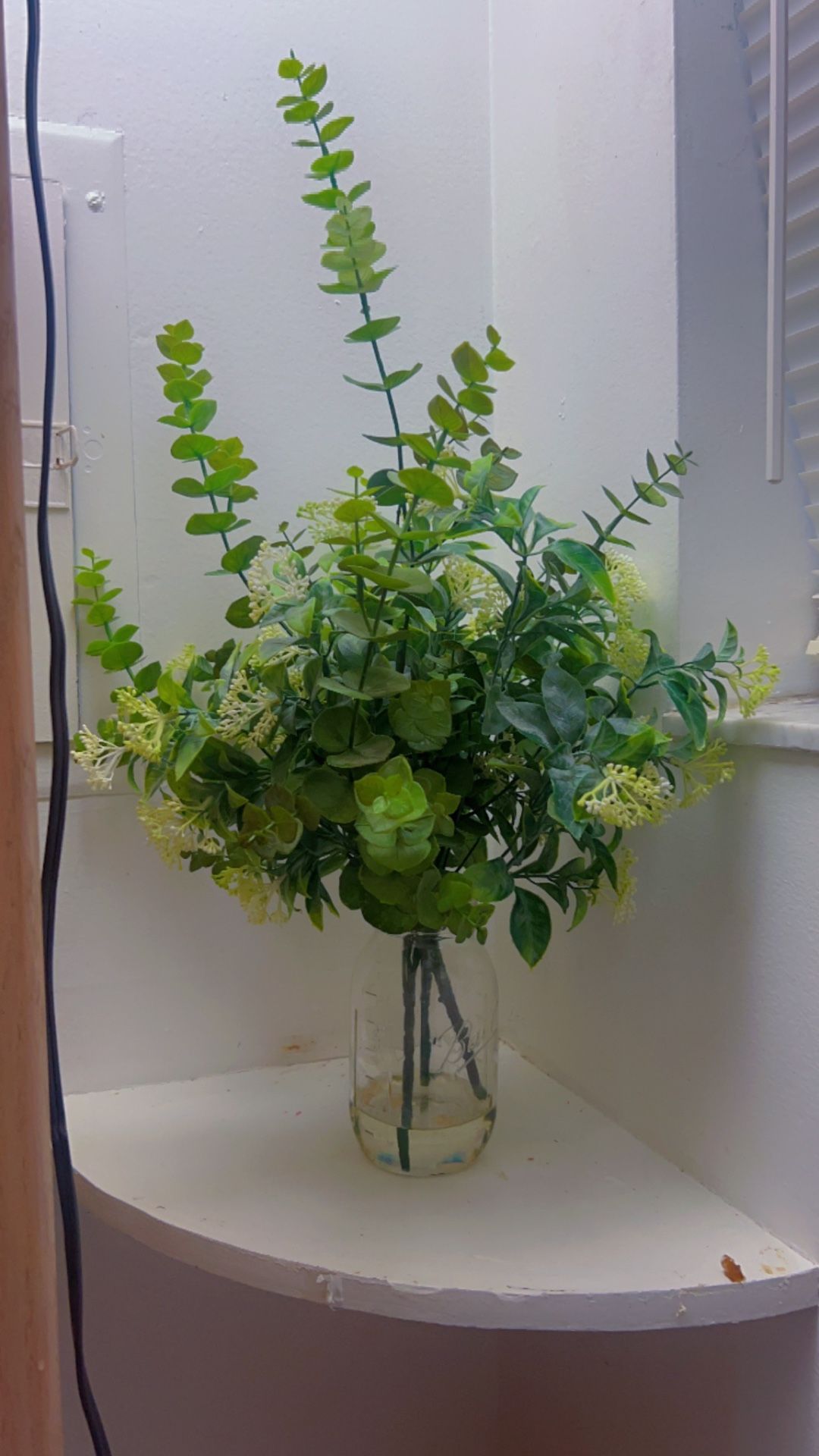 Fake Plant!