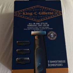 Gillette All In One Styler