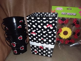 Ladybug Party Stuff