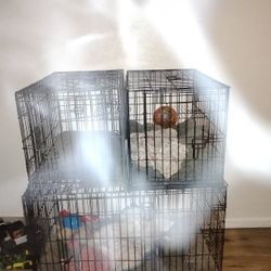 Two Mid Sizes Kennels