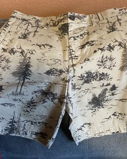 Banana republic shorts