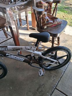 Rebel mongoose