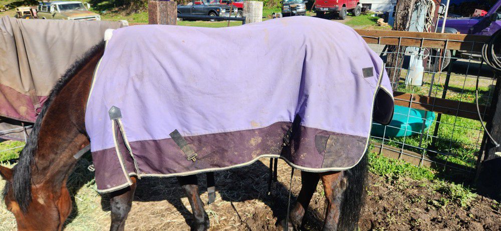 Horse Blankets, READ DESCRIPTION $15 NOT FOR ALL!!