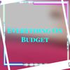 Everything On Budget (EOB)
