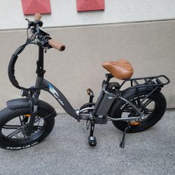 Folding Electric bike