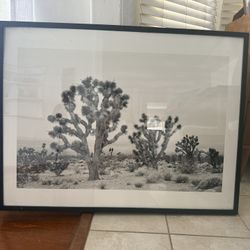 Joshua Framed Print