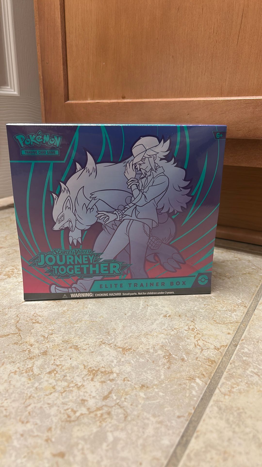 Pokemon Journey Together ETB