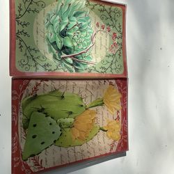 Beautiful Succulent Plates