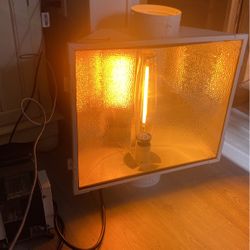 1000 Watt Grow Light And Ballast