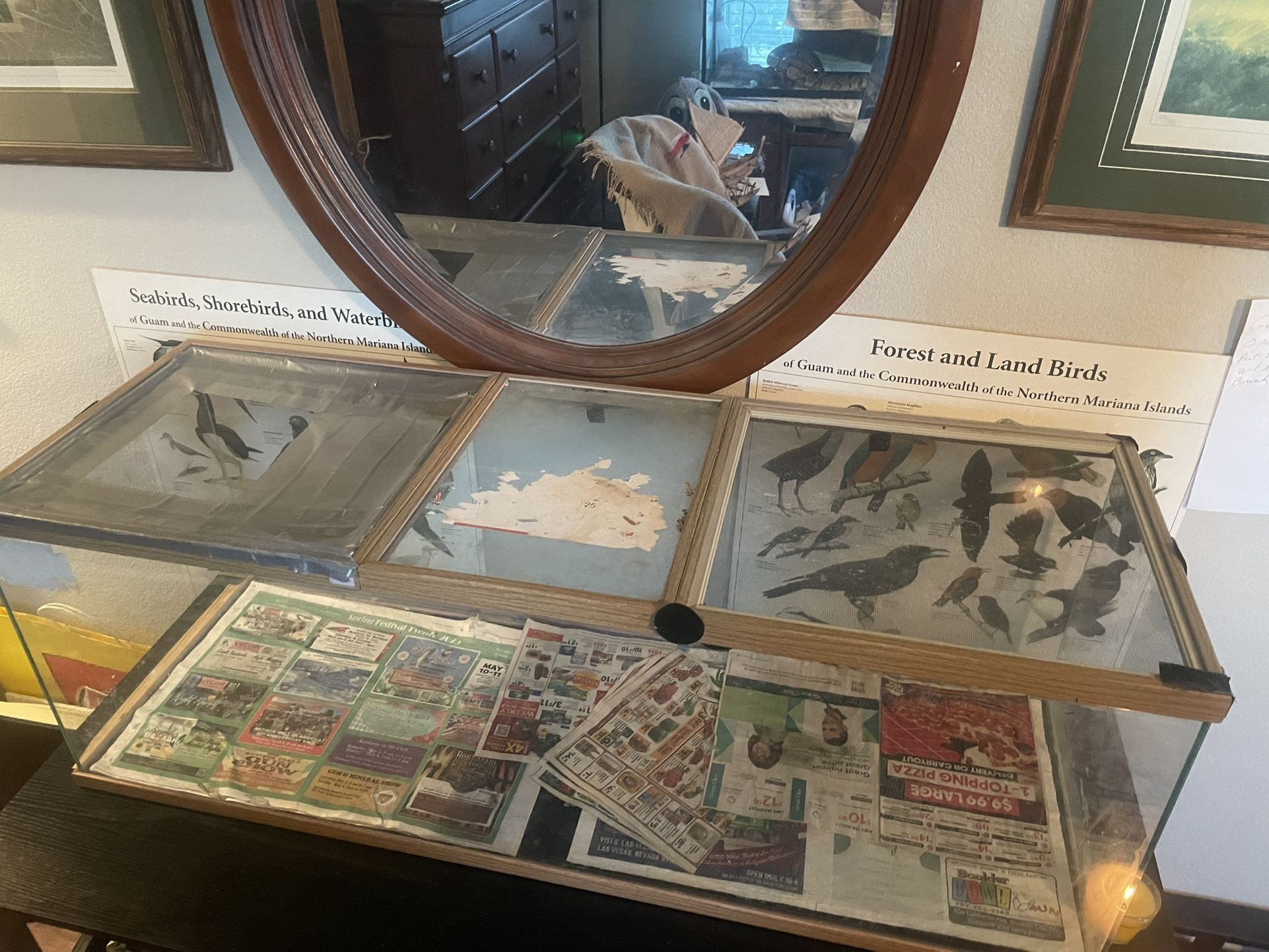 Two 40 Gal Tanks One Reptile With Screen Top And One Fish Tank 40 Gallons. $50 For Reptile Tank, & $30 For Aquarium.