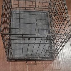 Dog Cage 