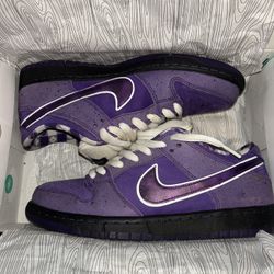 Purple Lobster Special Box