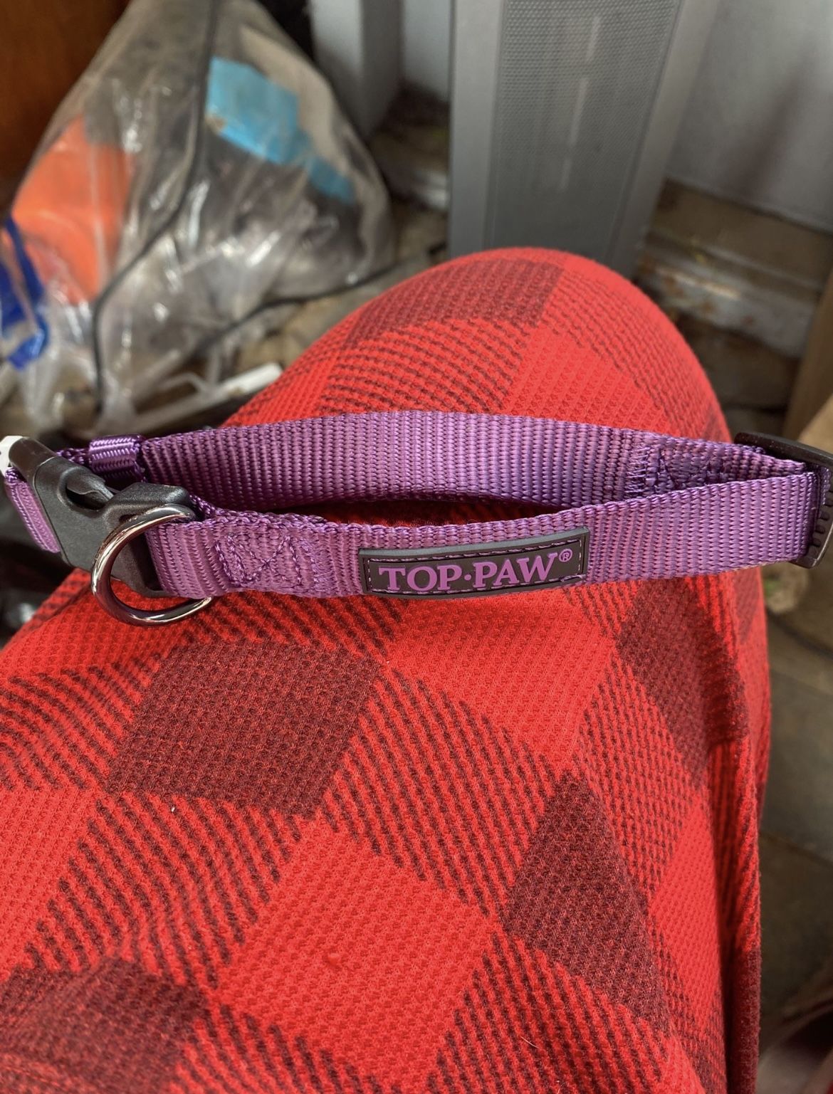 Top Paw Collar