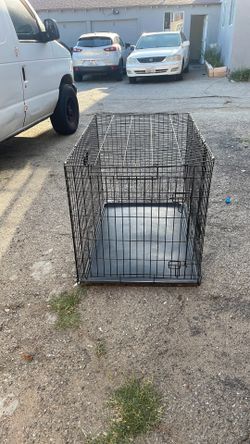 Median dog cage