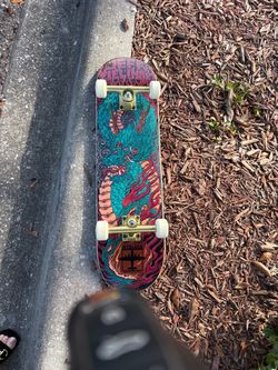 Skate Board