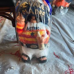 Houston Astros 