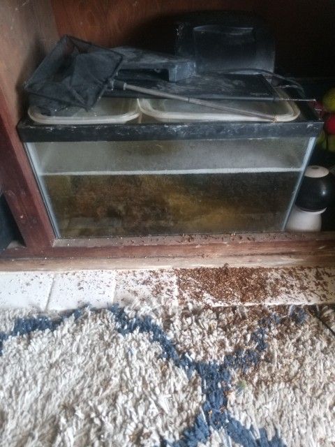 Aquarium 5 Gallons+ Filtration 