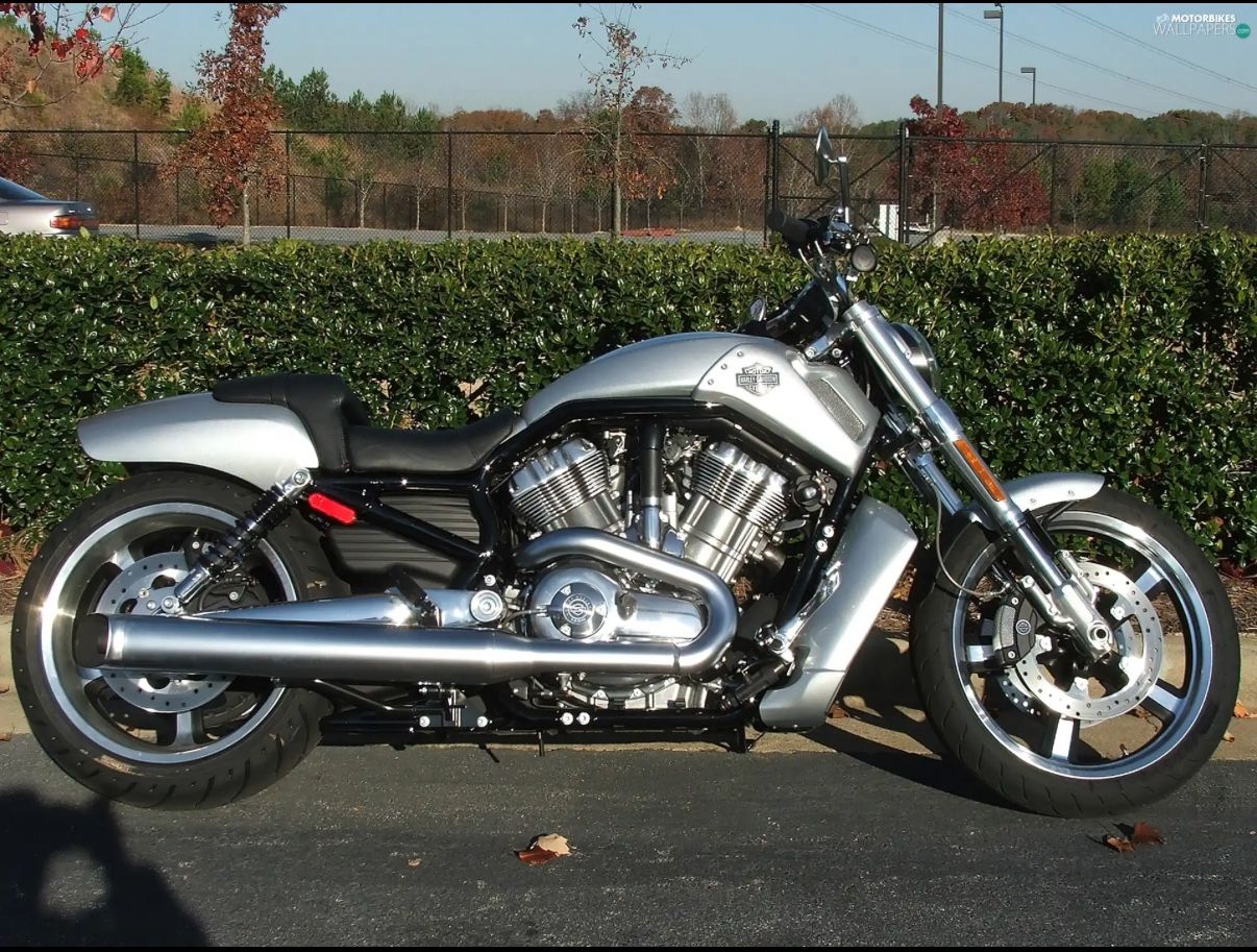 2009 Harley Davidson Vrod Muscle