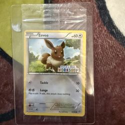 Eevee Build A Bear Promo