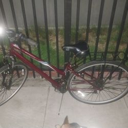 Savannah 18-speed Bike