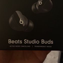 Beats Studio Earbuds