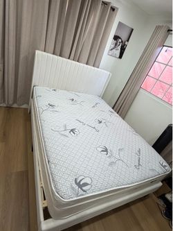 Semi new queen size  bed with bed frame, and headboard