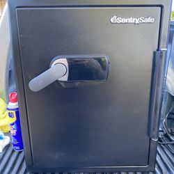NEW SENTRYSAFE SAFE 2 CF JEWELRY GUNS VALUABLES SHOP STORE HOME BURGLARY PREVENTION FREE DELIVERY 