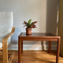 Vintage Scandinavian MCM Mid-Century Modern side table coffee table end table