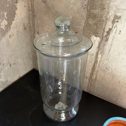 Large Glass Greenhouse