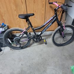 20 Inch Girls Kobra Bicycle 