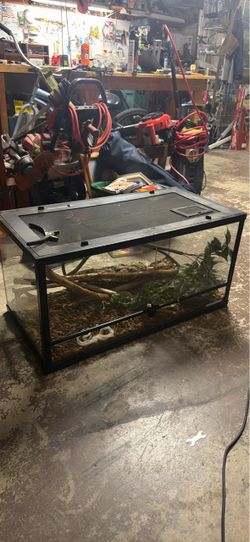 Glass Reptile Terrarium with Black Frame