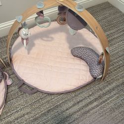 Ingenuity Cozy Activity Gym Baby