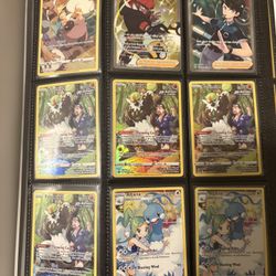 Trainer Gallery Cards